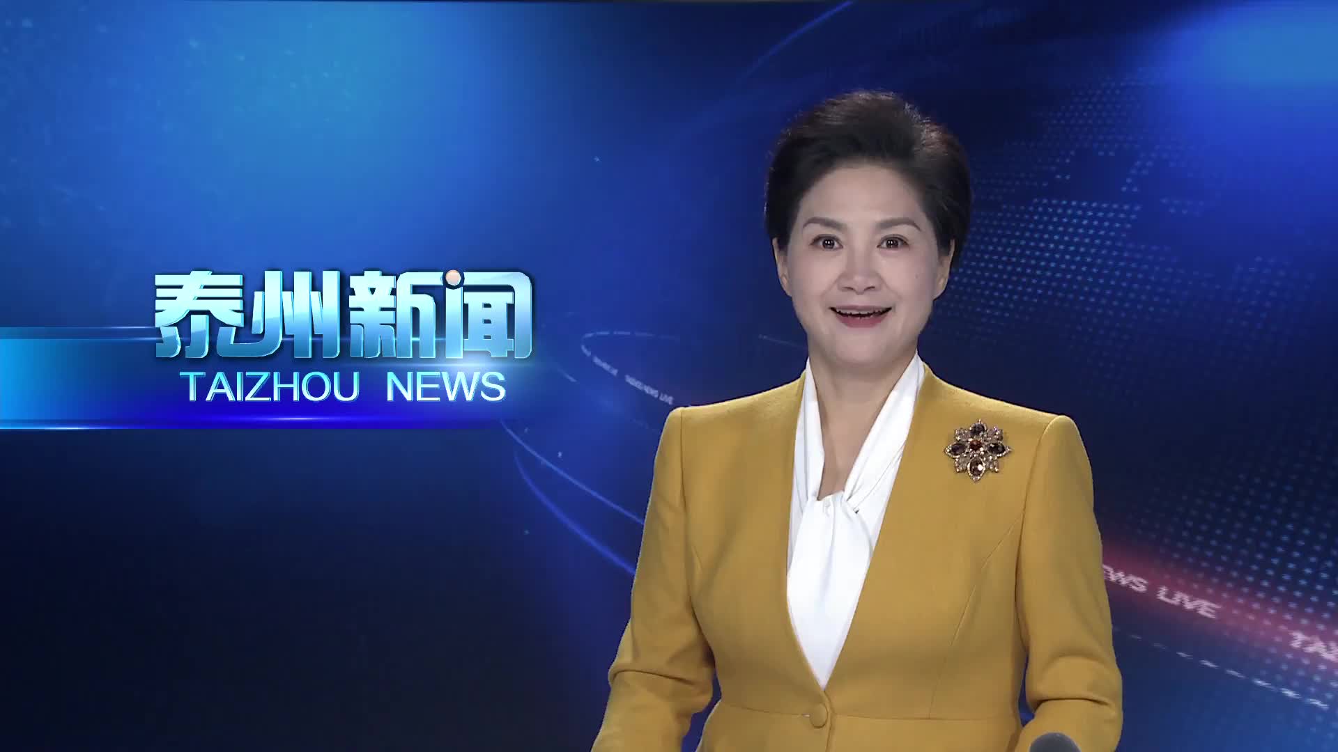 第十三届里下河文学研讨会在泰州举行  推动里下河文学从“文学高地”迈向“文化高峰”